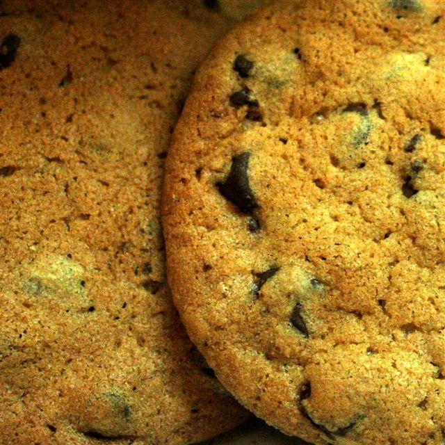 Whole Wheat Pumpkin Chocolate Chip Cookies